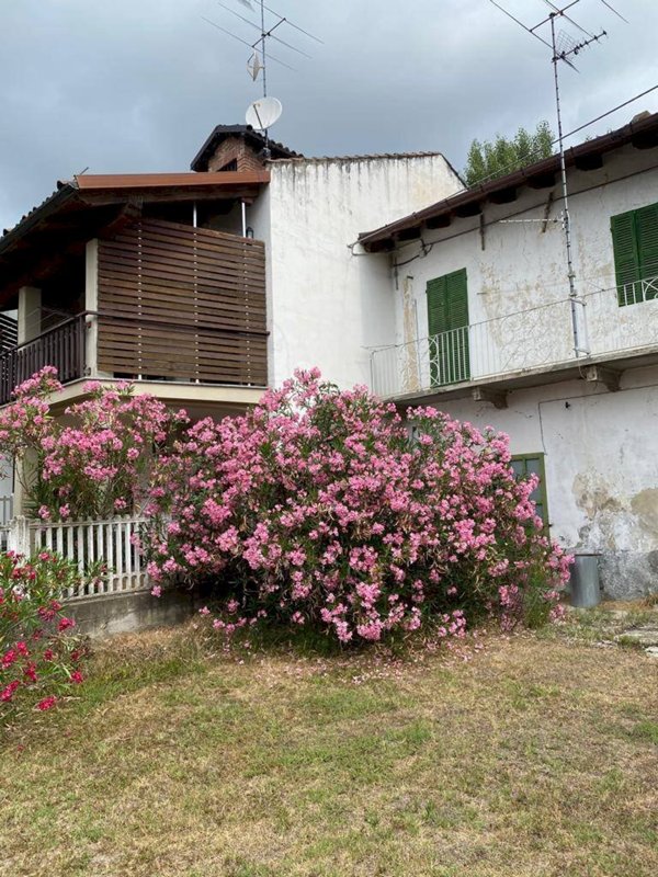 casa indipendente in vendita a Montiglio Monferrato