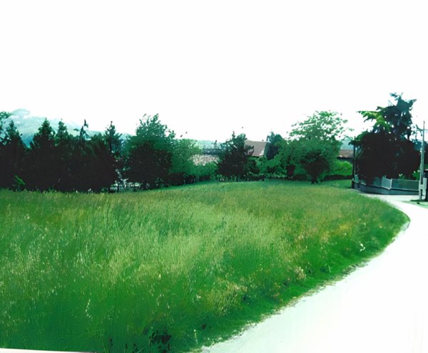 negozio in vendita a Montiglio Monferrato
