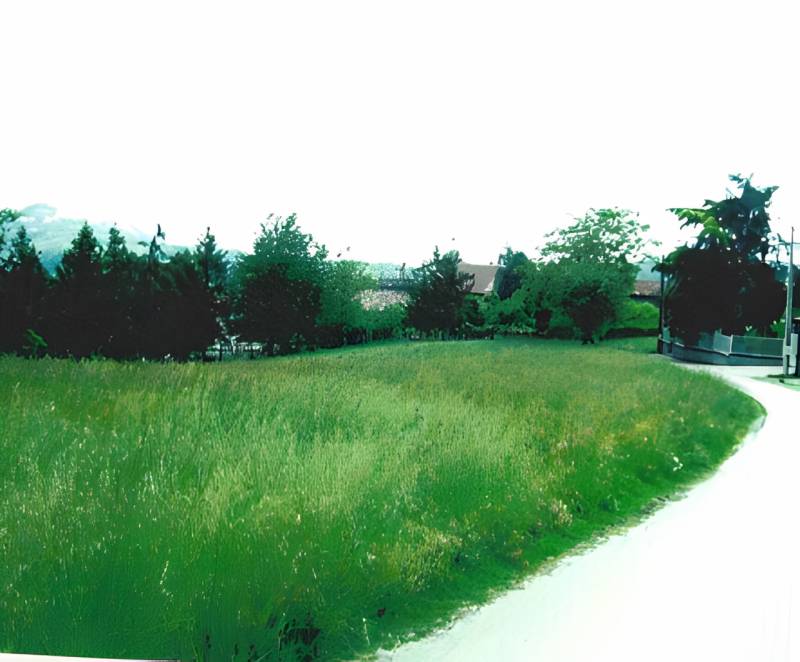 casa indipendente in vendita a Montiglio Monferrato