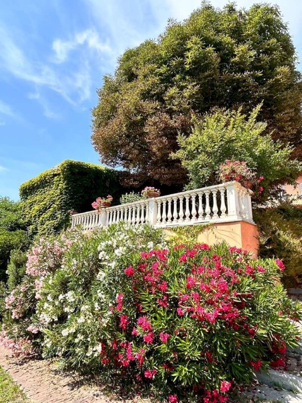 casa indipendente in vendita a Montiglio Monferrato