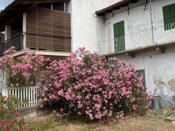 casa indipendente in vendita a Montiglio Monferrato
