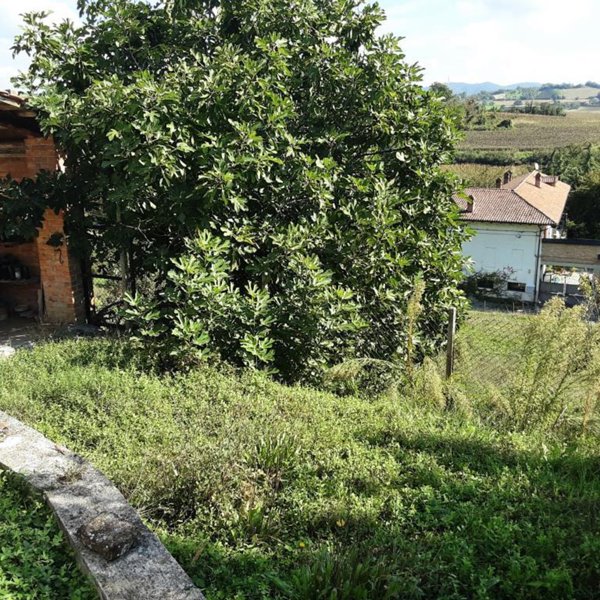 casa indipendente in vendita a Montiglio Monferrato