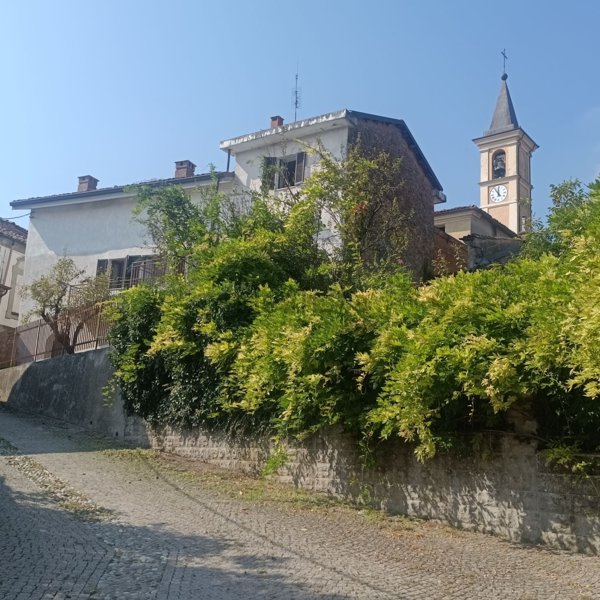 casa indipendente in vendita a Montiglio Monferrato