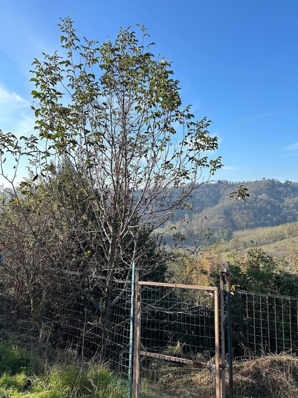 casale in vendita a Moransengo-Tonengo in zona Moransengo