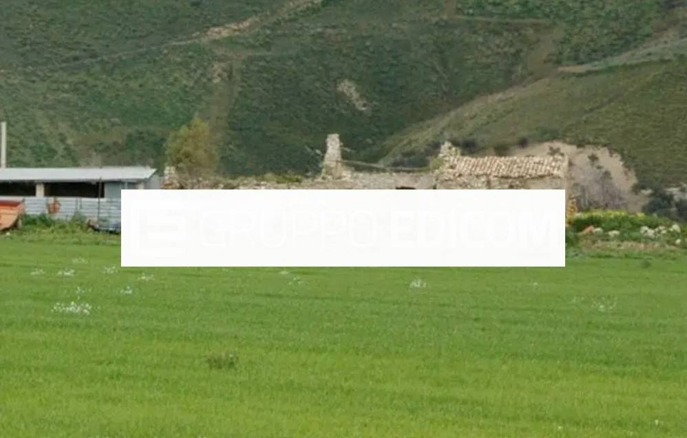 quadrivano in vendita ad Alia