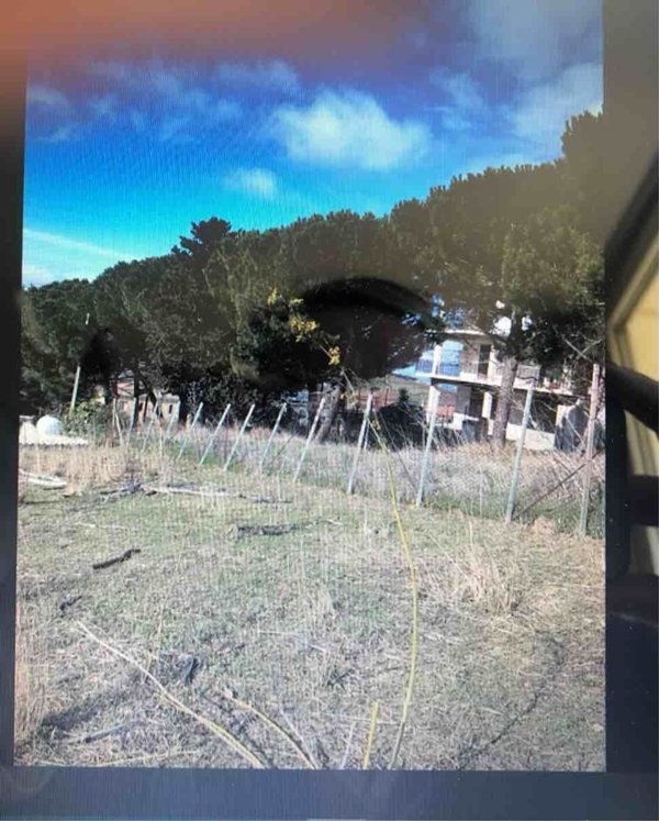 appartamento in vendita ad Alia