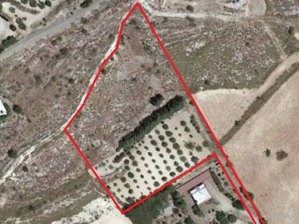 terreno agricolo in vendita ad Alia