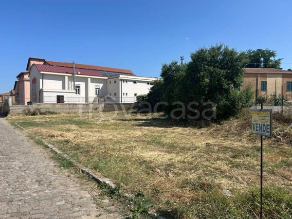 terreno agricolo in vendita ad Alimena