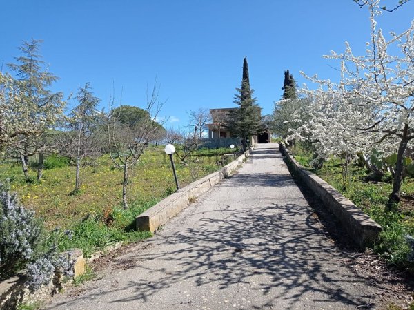 appartamento in vendita ad Alimena