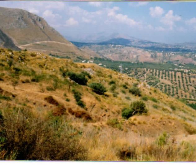 terreno agricolo in vendita ad Altavilla Milicia