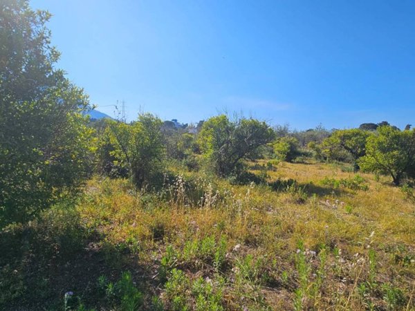 rudere in vendita ad Altavilla Milicia in zona Torre Colonna