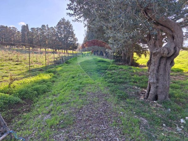 terreno agricolo in vendita ad Altavilla Milicia