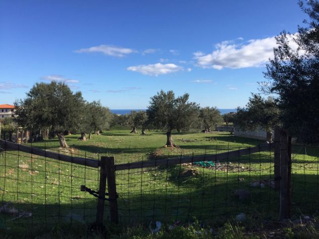 casa indipendente in vendita ad Altavilla Milicia
