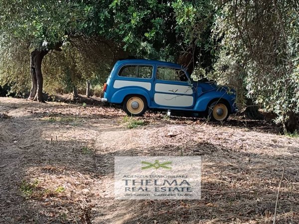 locale di sgombero in vendita ad Altavilla Milicia