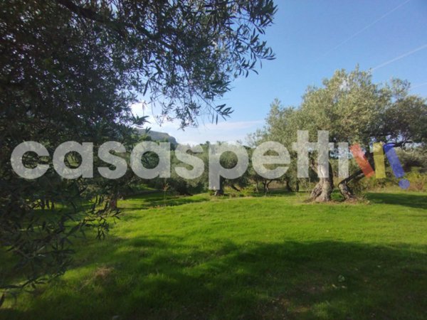 casale in vendita ad Altavilla Milicia