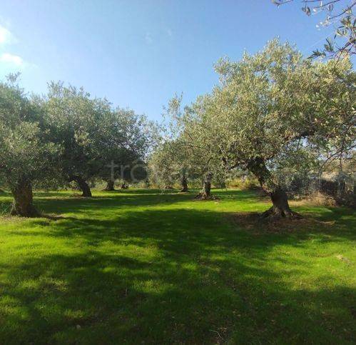 casa indipendente in vendita ad Altavilla Milicia