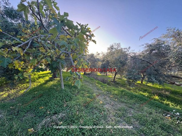 locale di sgombero in vendita ad Altavilla Milicia