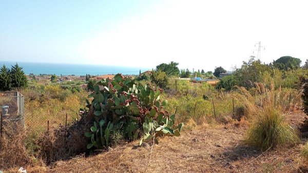 terreno agricolo in vendita ad Altavilla Milicia