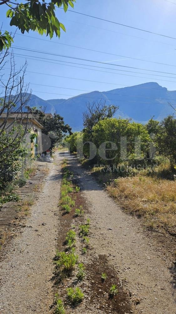 rudere in vendita ad Altavilla Milicia