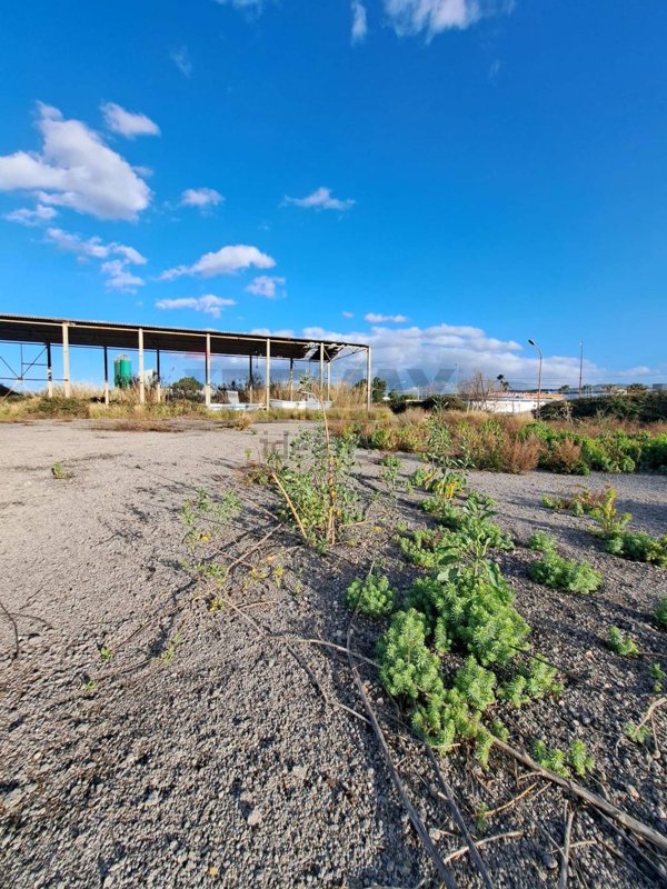 immagine annuncio 0 di 1