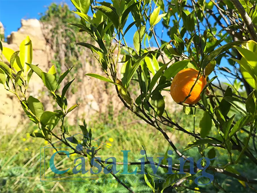 casa indipendente in vendita ad Altavilla Milicia