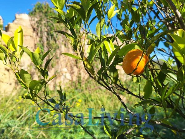 casa indipendente in vendita ad Altavilla Milicia