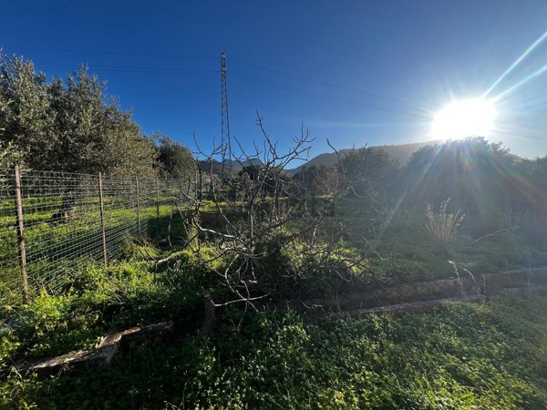 terreno agricolo in vendita ad Altavilla Milicia in zona Torre Colonna