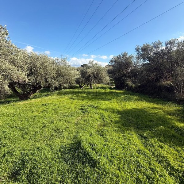 casa indipendente in vendita ad Altavilla Milicia