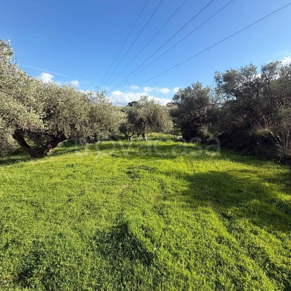 casa indipendente in vendita ad Altavilla Milicia