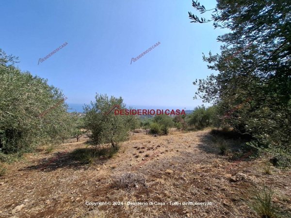 casa indipendente in vendita ad Altavilla Milicia