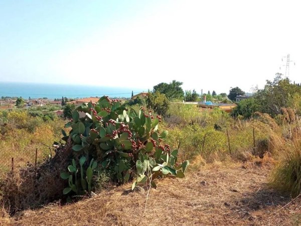 terreno agricolo in vendita ad Altavilla Milicia in zona Torre Colonna