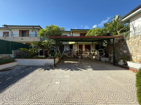 immagine annuncio 0 di 15