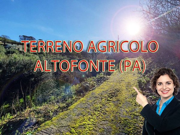 terreno agricolo in vendita ad Altofonte