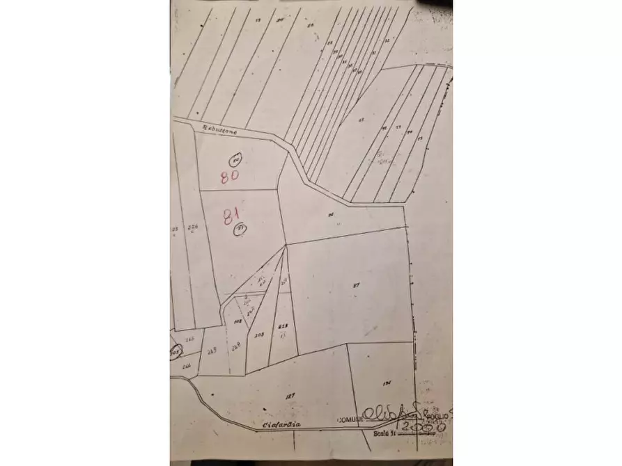 terreno agricolo in vendita ad Altofonte