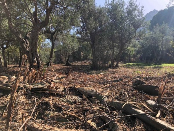 rudere in vendita ad Altofonte in zona Piano Maglio