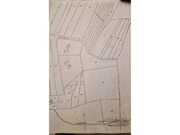 terreno agricolo in vendita ad Altofonte