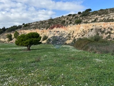 terreno agricolo in vendita ad Altofonte