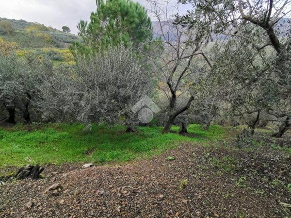 terreno agricolo in vendita ad Altofonte