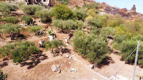terreno agricolo in vendita ad Altofonte