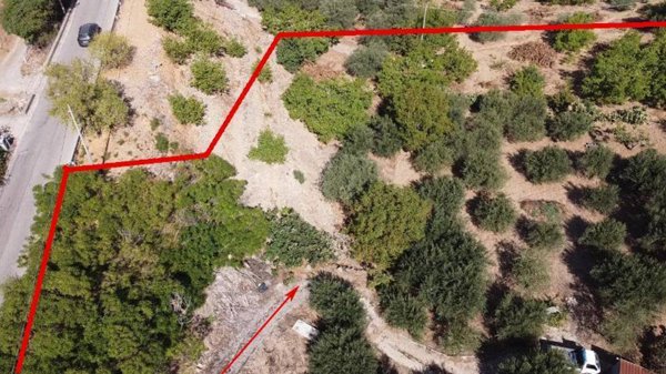 terreno agricolo in vendita ad Altofonte