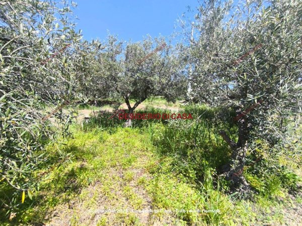 terreno agricolo in vendita ad Altofonte