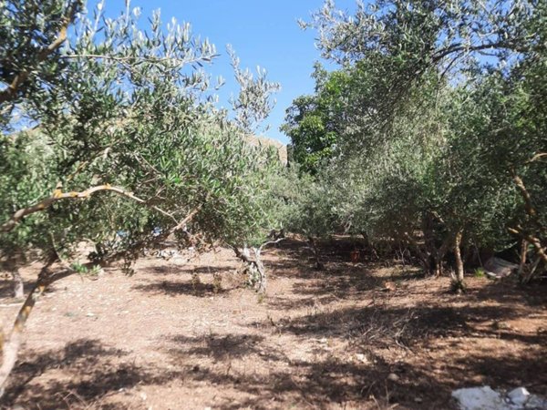 terreno agricolo in vendita ad Altofonte