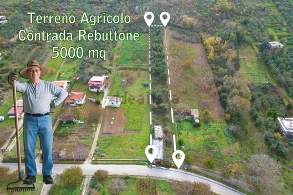 terreno agricolo in vendita ad Altofonte