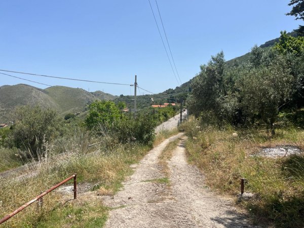 terreno agricolo in vendita ad Altofonte
