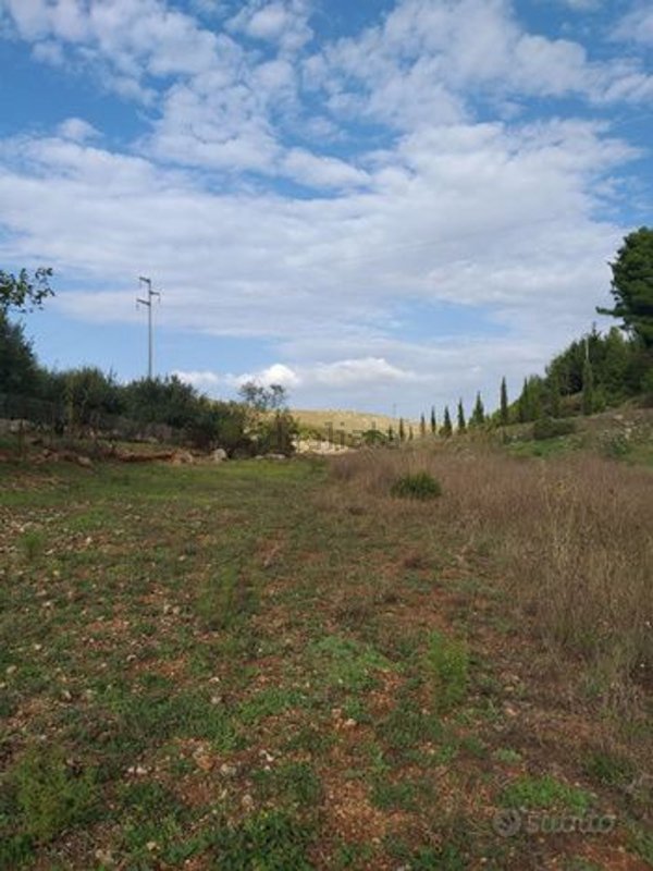 terreno agricolo in vendita ad Altofonte