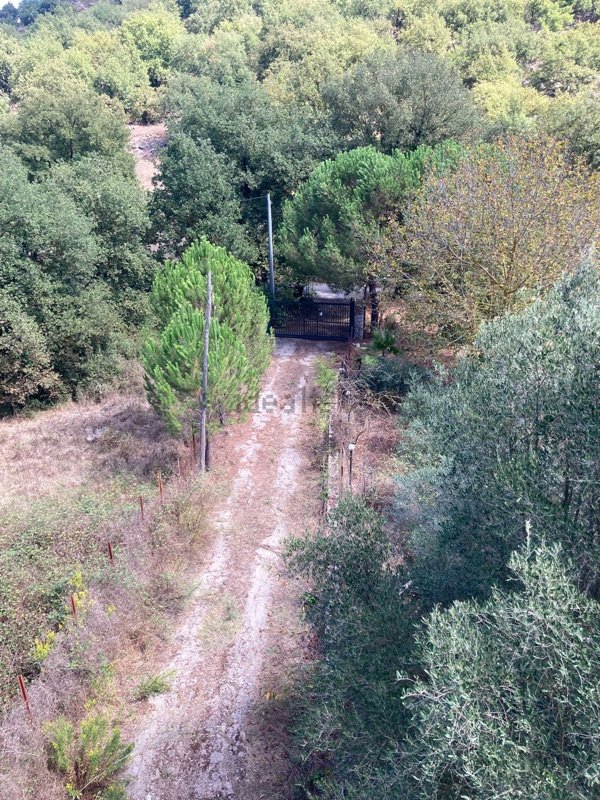 casa indipendente in vendita ad Altofonte
