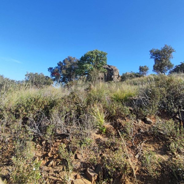 terreno edificabile in vendita ad Altofonte