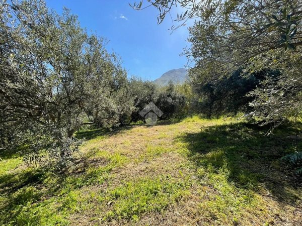 terreno agricolo in vendita ad Altofonte