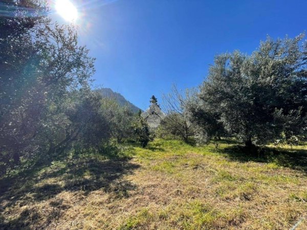 terreno agricolo in vendita ad Altofonte in zona Piano Maglio