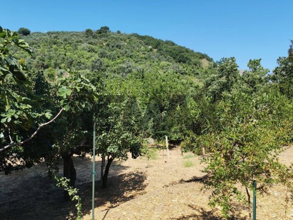 casa indipendente in vendita ad Altofonte in zona Piano Maglio